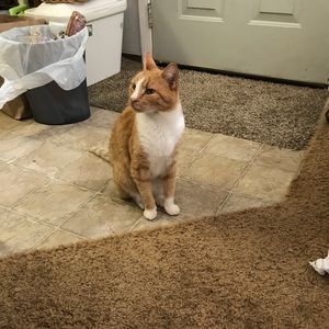 Meet your Posher, Jane